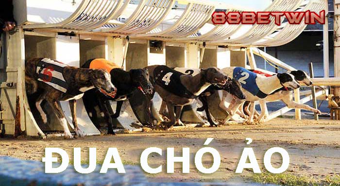 Khám phá cách chơi cá cược Đua Chó Ảo tại nhà cái